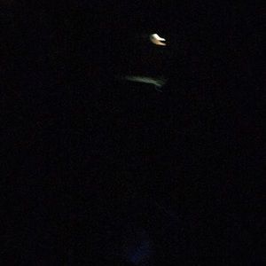 Meet your Posher, Joe